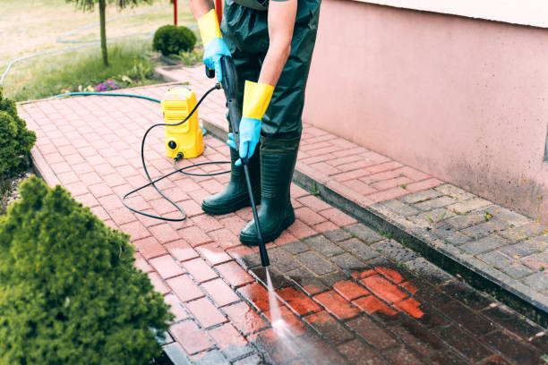 Best Driveway Pressure Washing  in Desnso, CA